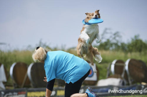 DSC 510205-2018discdog