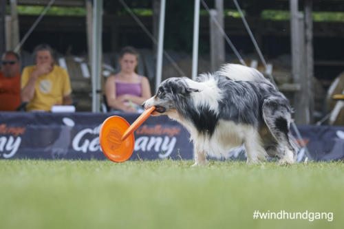 DSC 532605-2018discdog