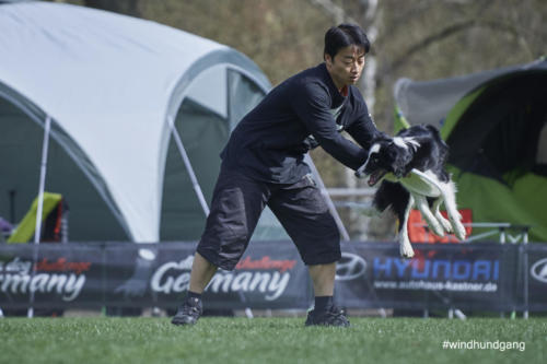 Frisbee Dog