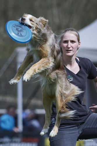 Frisbee Dog 101