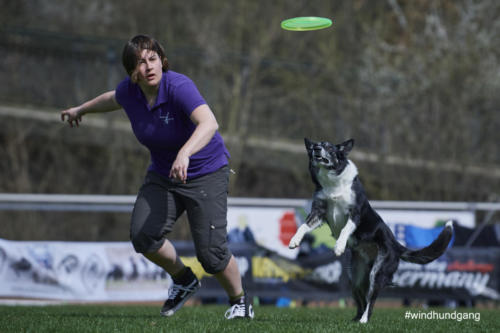 Frisbee Dog 106