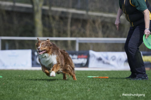 Frisbee Dog 112