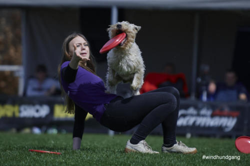 Frisbee Dog 116