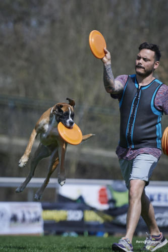 Frisbee Dog 118