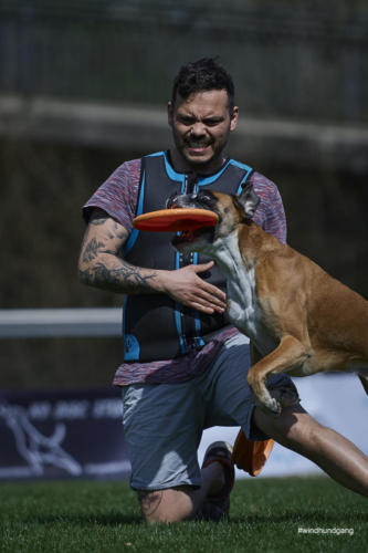 Frisbee Dog 120