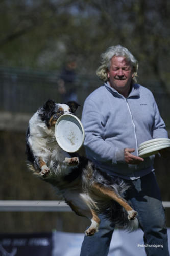 Frisbee Dog 123