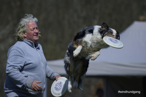 Frisbee Dog 124