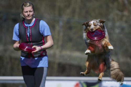 Frisbee Dog 126
