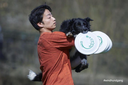 Frisbee Dog 128