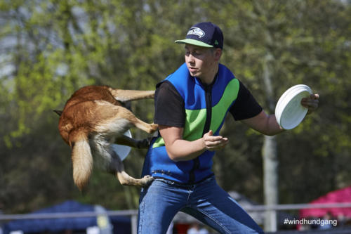 Frisbee Dog 129