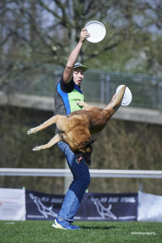 Frisbee Dog 132