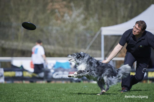 Frisbee Dog 136