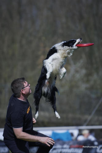 Frisbee Dog 138