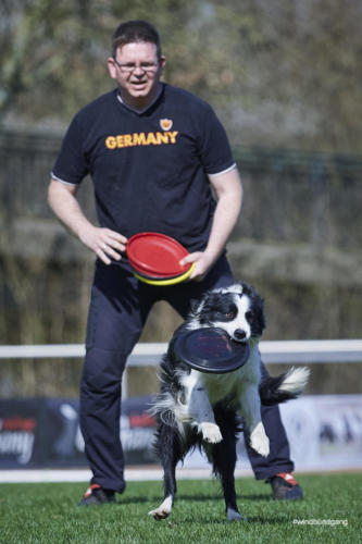 Frisbee Dog 139