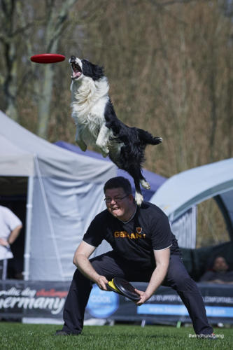 Frisbee Dog 141