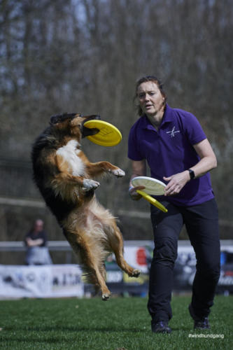 Frisbee Dog 29