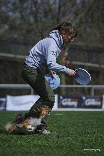 Frisbee Dog 42