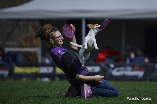 Frisbee Dog 46