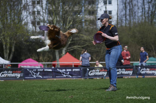 Frisbee Dog 56