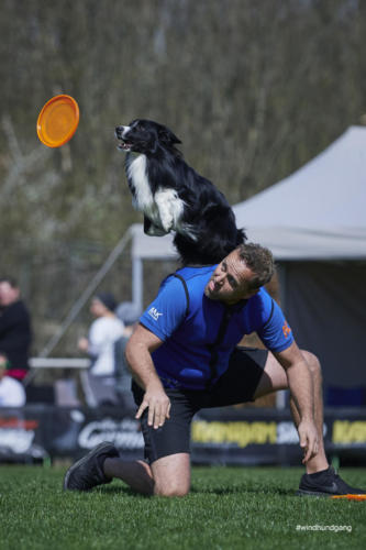 Frisbee Dog 58