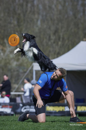 Frisbee Dog 59