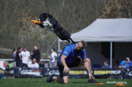 Frisbee Dog 60