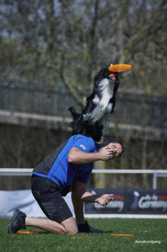 Frisbee Dog 62