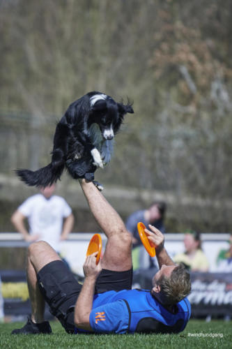 Frisbee Dog 64