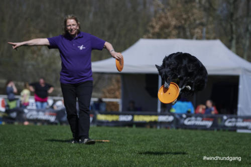 Frisbee Dog 65