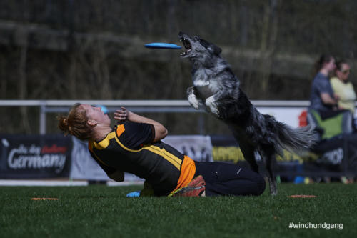 Frisbee Dog 66