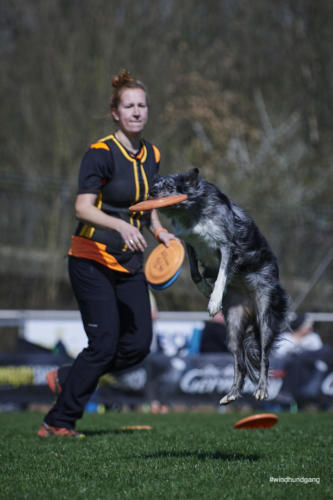 Frisbee Dog 67