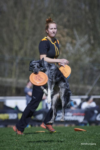 Frisbee Dog 68