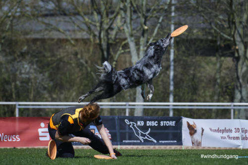 Frisbee Dog 69