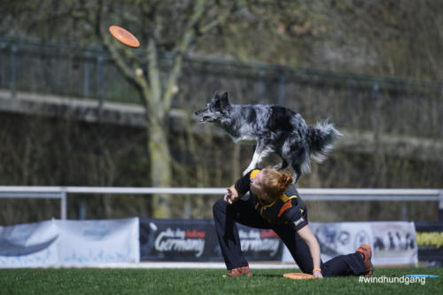 Frisbee Dog 70