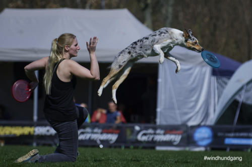 Frisbee Dog 72