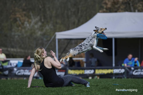Frisbee Dog 74