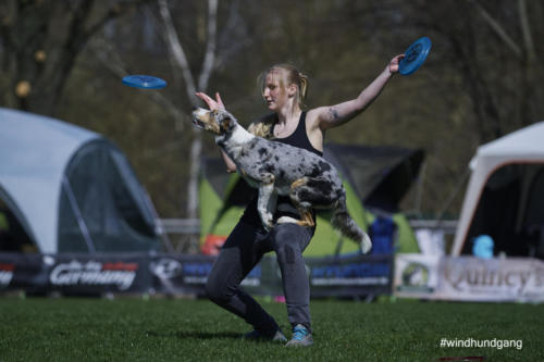Frisbee Dog 75