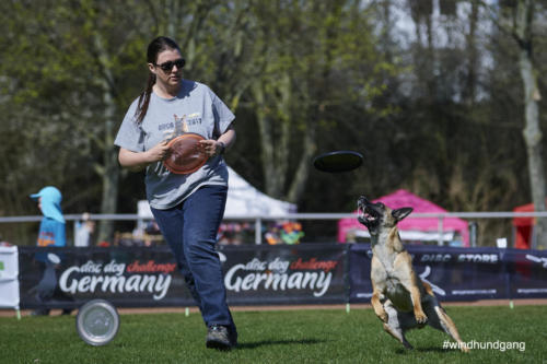 Frisbee Dog 78