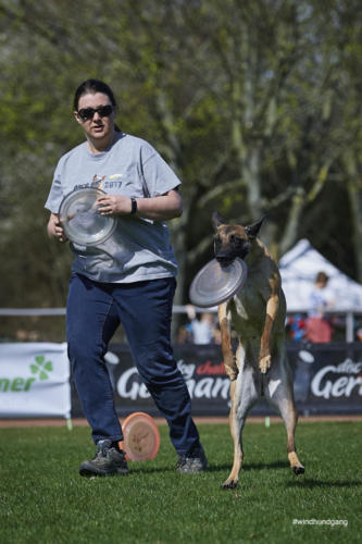 Frisbee Dog 79