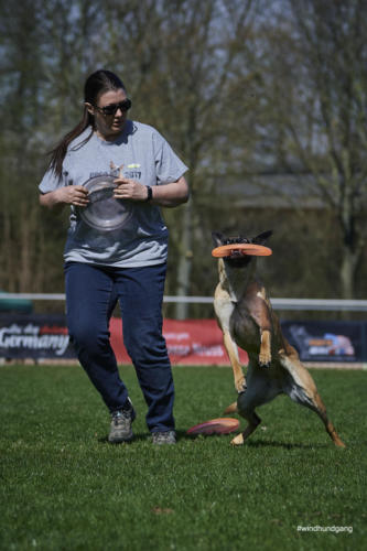 Frisbee Dog 80