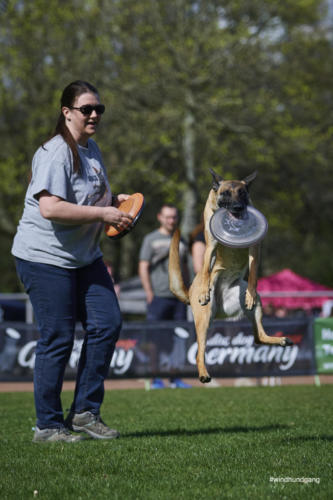 Frisbee Dog 81