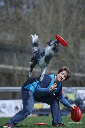 Frisbee Dog 83
