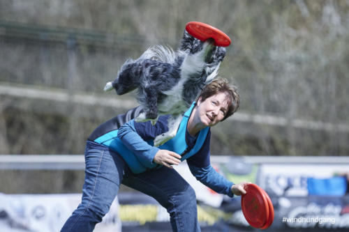 Frisbee Dog 84