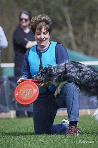 Frisbee Dog 85