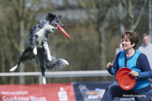 Frisbee Dog 87