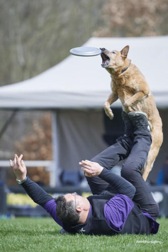 Frisbee Dog 90