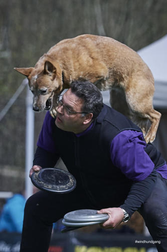 Frisbee Dog 91