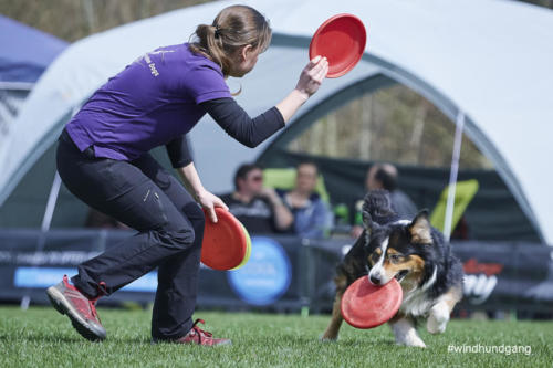 Frisbee Dog 95