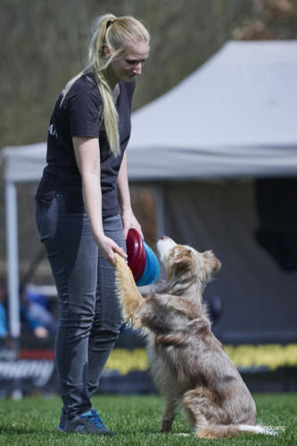 Frisbee Dog 97