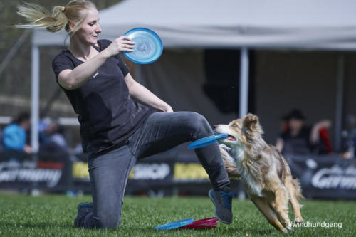 Frisbee Dog 99